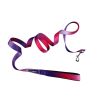 American River Ombre Leash