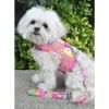 Cool Mesh Dog Harness with Leash