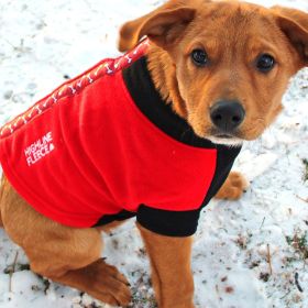 Highline Fleece Coat (Color: Red and Black With Rolling Bones, size: Size 8)