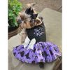 Halloween Fab-BOO-Lous Dress and Matching Leash