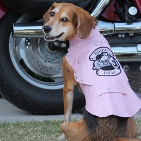 Biker Dawg (Color: Pink, size: large)